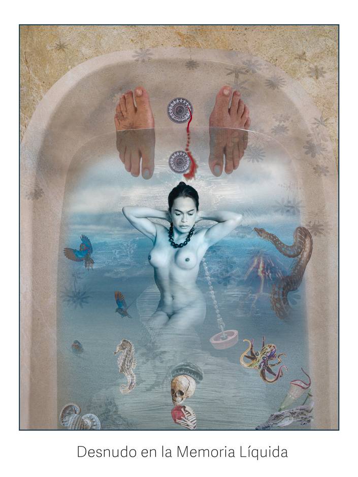 Desnudo en la Memoria Líquida