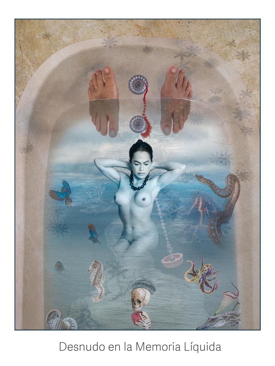 Desnudo en la Memoria Líquida